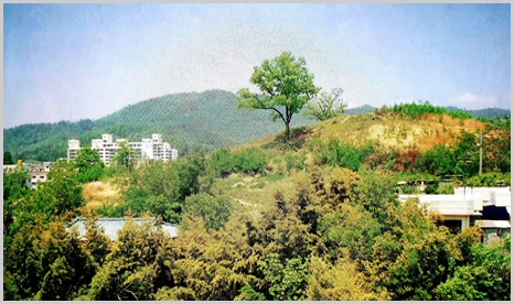 in2_03.jpg